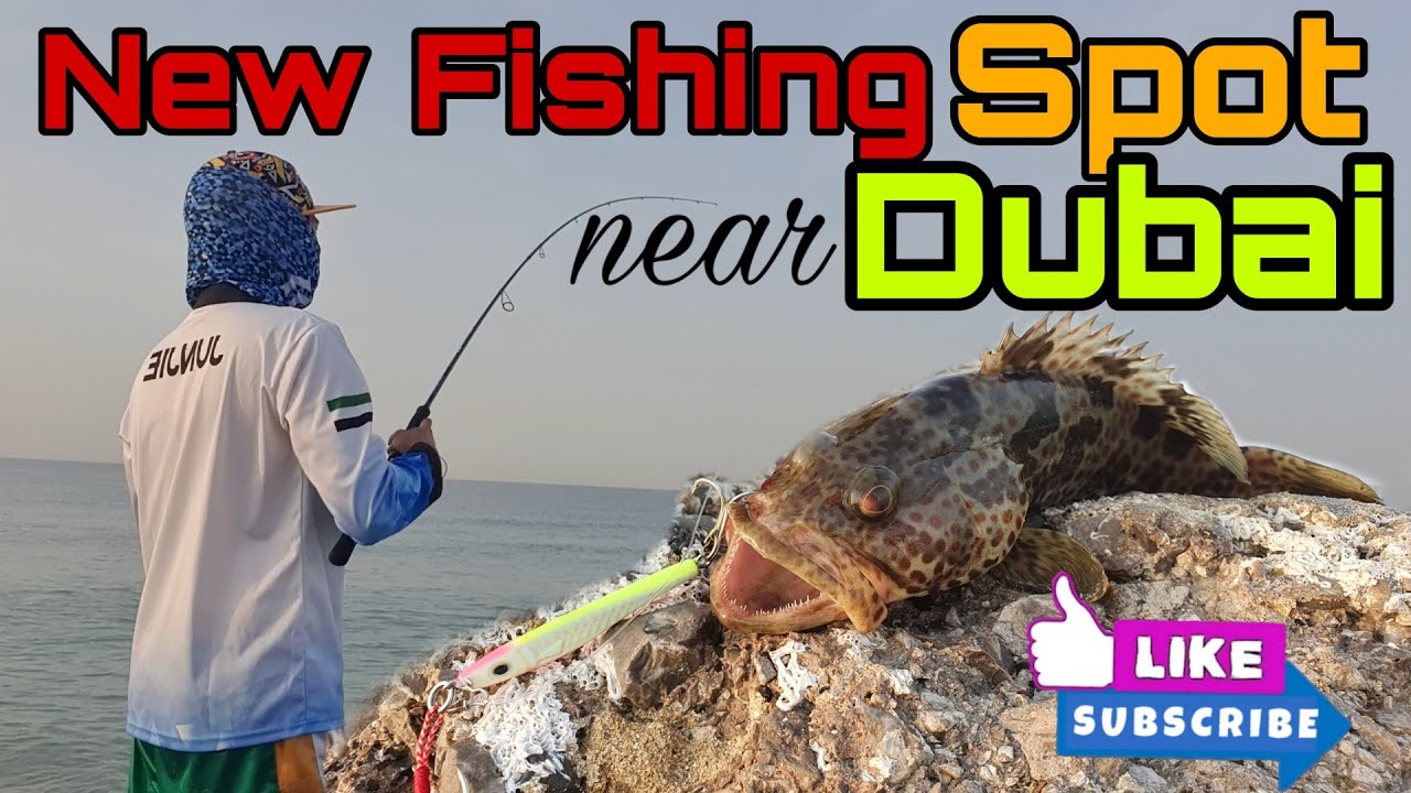 New Fishing Spot in  Umm Al Quwain, UAE. 20-30 Minutes travel only.