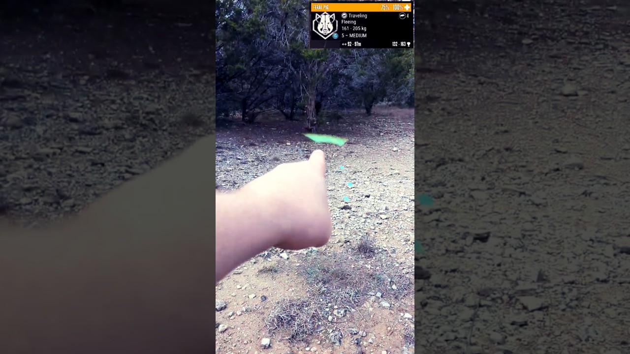 Следы животных &mdash; в реальной жизни (theHunter: Call of the Wild) #cotw #thehuntercallofthewild