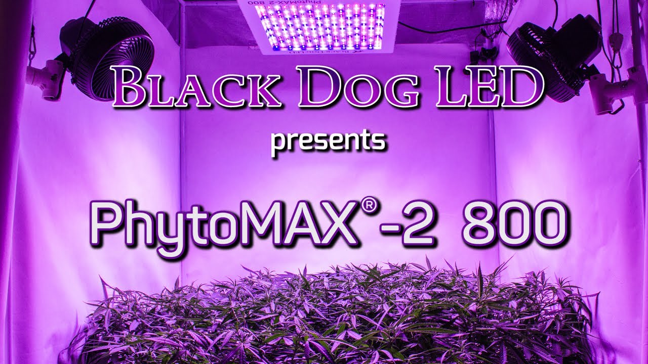 PhytoMAX-2 800
