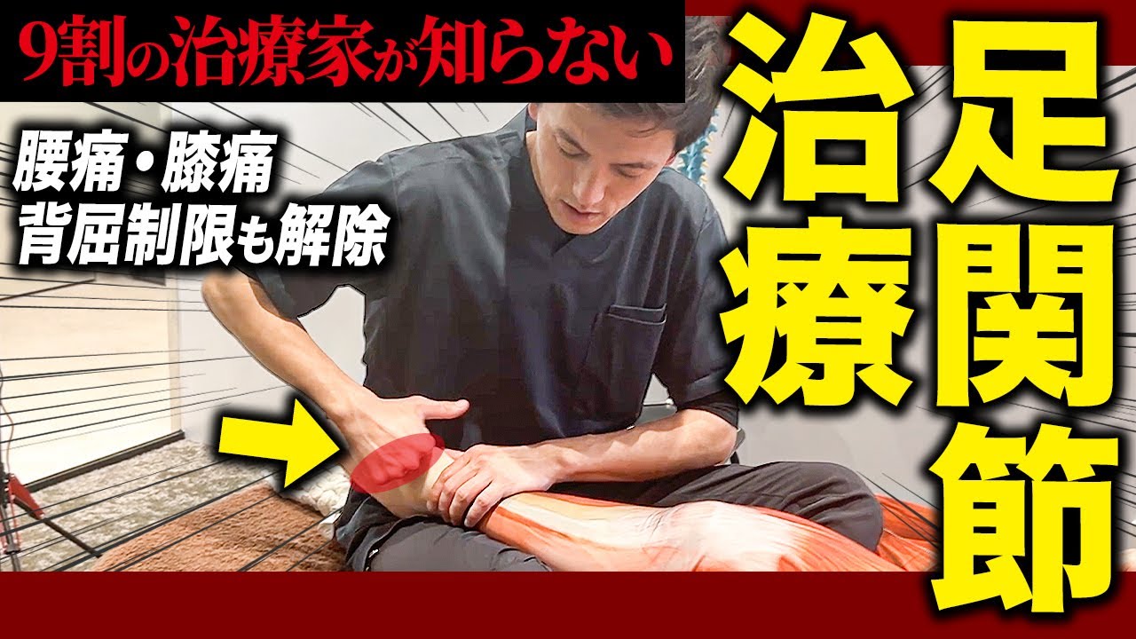 【治療家必見】足関節の可動域を改善する治療テクニック！腰痛・膝痛にも効果的な理由を解剖学の観点から徹底解説します！