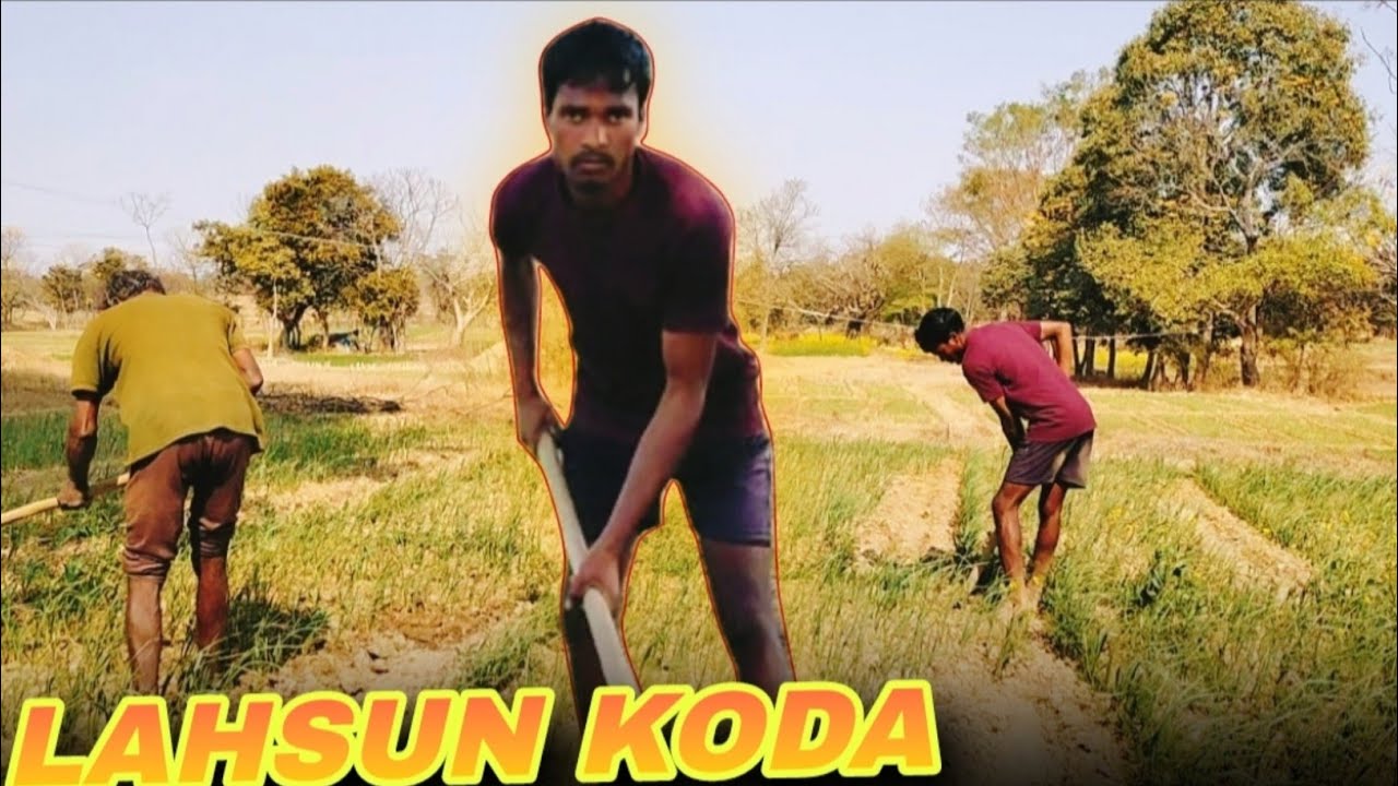 Papa Ke Sath Lahsun Koda Karne Aaye | Village Farming 😱