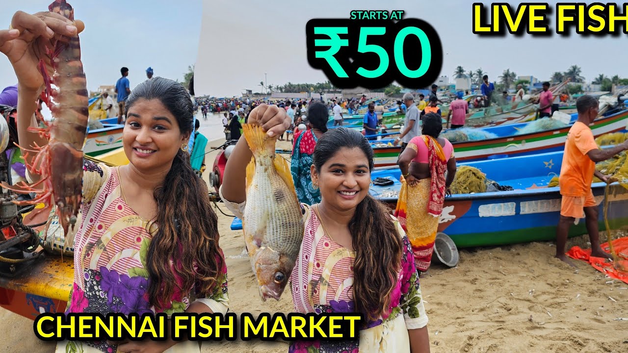 Chennai fish market | Vera mari fish💥
