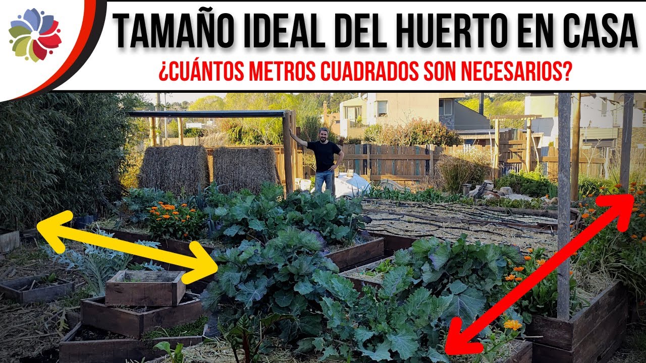 🌱 Cu&aacute;l es el TAMA&Ntilde;O IDEAL del HUERTO | Superficie M&Iacute;NIMA, M&Aacute;XIMA y como hacer que rinda m&aacute;s.