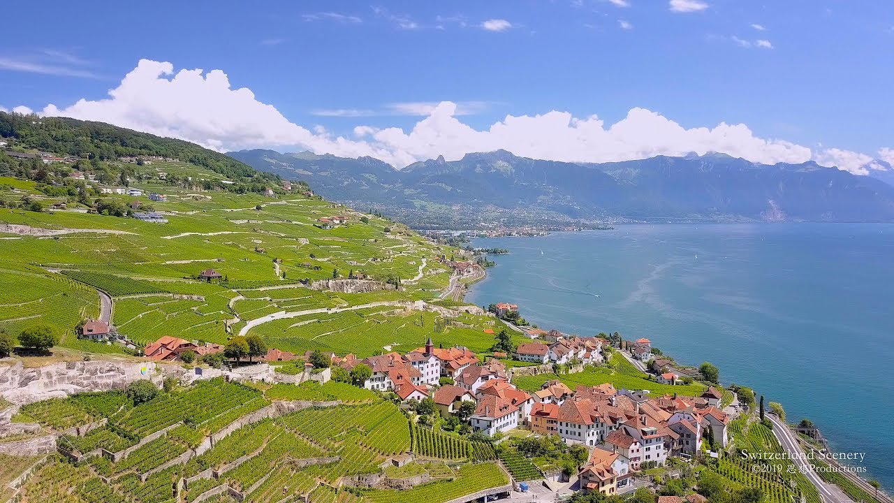 4K Lavaux, Lac Léman Vaud SWITZERLAND アルプス山脈