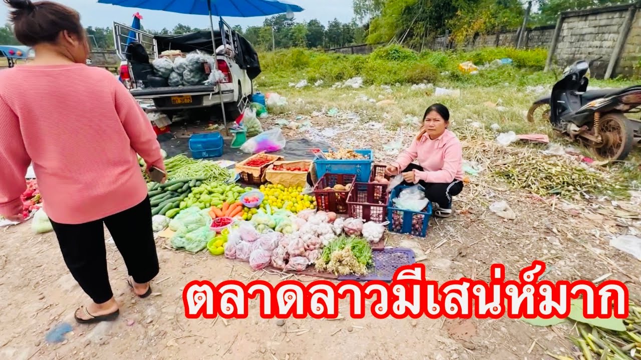 ตลาดลาวมีเสน่ห์รีวิวไปจ่ายตลาดกับแม่มลไปเหมาตลาดมาเหมือนเดิมซื้อของเข้าบ้านให้แม่หมอนจัดเต็ม 