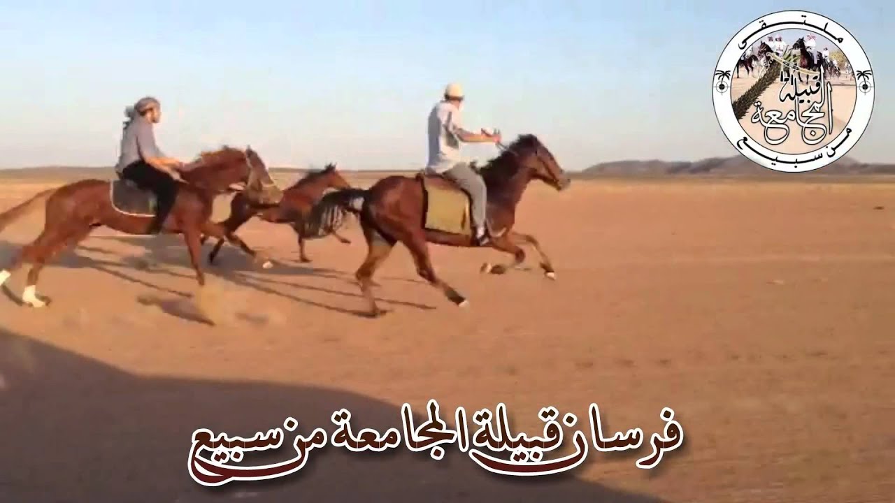 فرسان قبيلة المجامعة من سبيع الغلباء