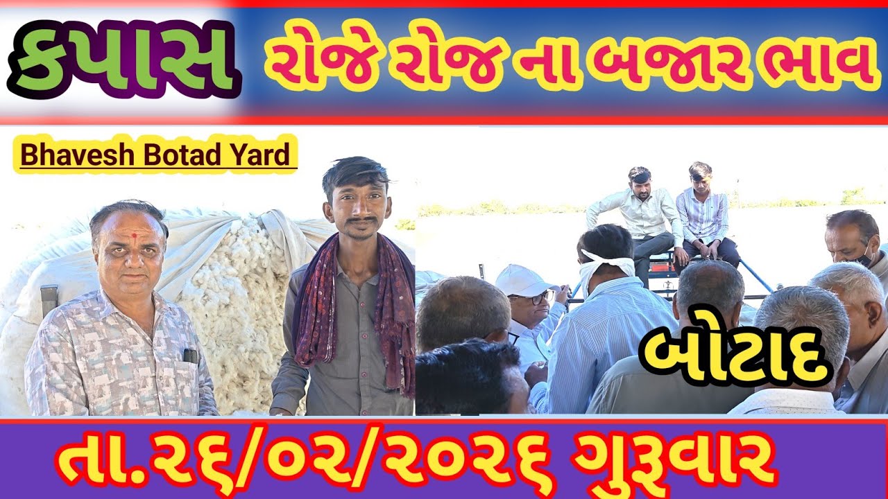 કપાસ ની હરાજી માં ખુબ તેજે દેખાણી 26/02/2026 ||Botad Marketing Yard || #bhaveshbotadyard