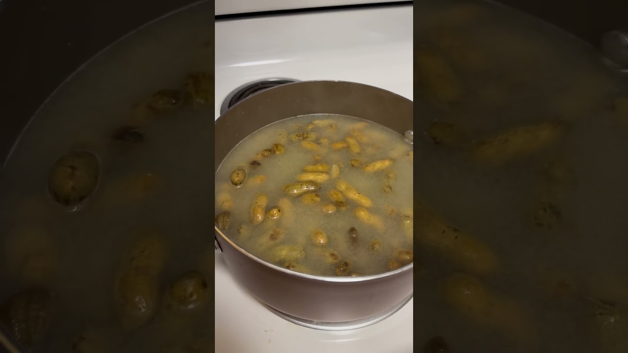 Boiled peanuts for the 🏆 #boiled