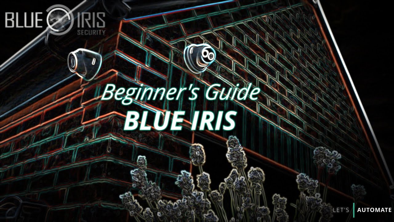 Руководство для начинающих по Blue Iris | Программное обеспечение для локального видеонаблюдения