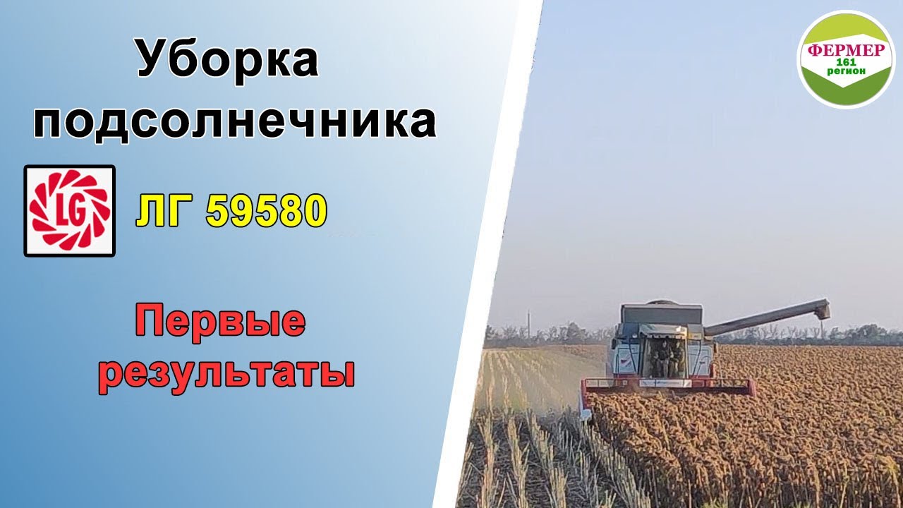 Уборка подсолнечника | LG 59580 | Первые результаты