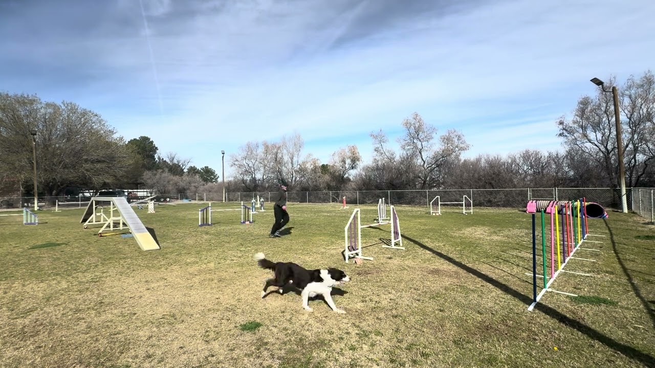 Voodoo Agility 1 wk 187