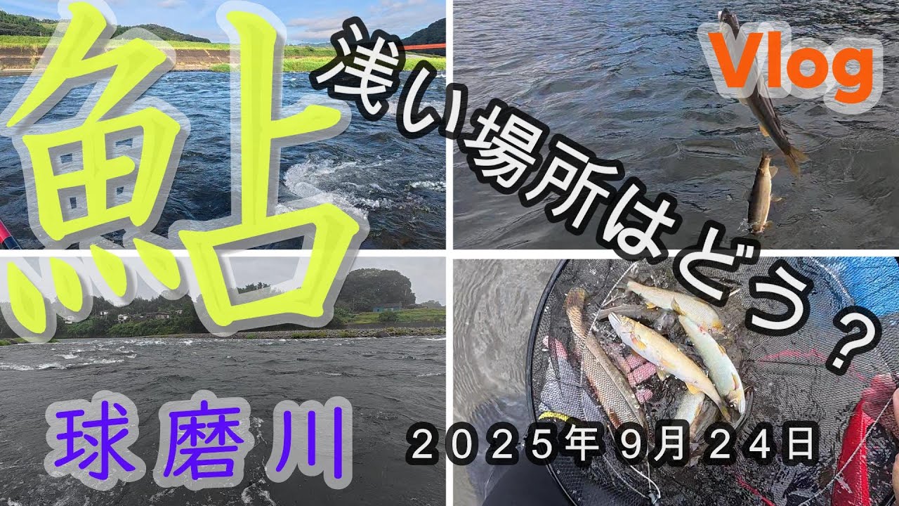 【球磨川】浅い場所はどう？　２０２５．９．２４