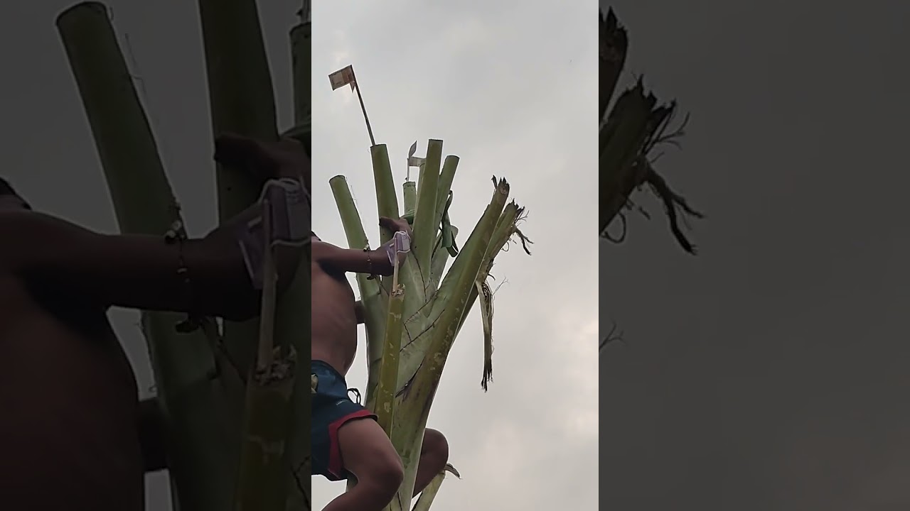 Eerai laina karaga laphu maton youlhiba yaori,, yam heikhrba angangsing