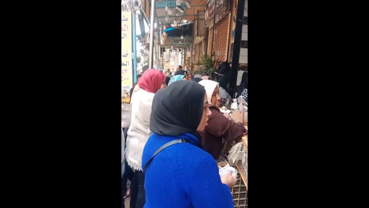 جايب صفقة فراخ للغلابة.. الشاذلي بيبيع 3 فرخات ب200 جنيه بالإسكندرية: خلي الفقير ياكل