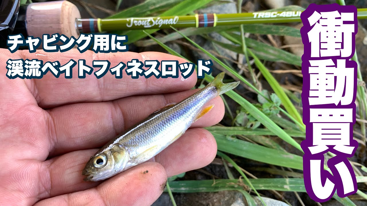 [衝動買い]チャビング用に渓流ベイトフィネスロッド[チャビング]