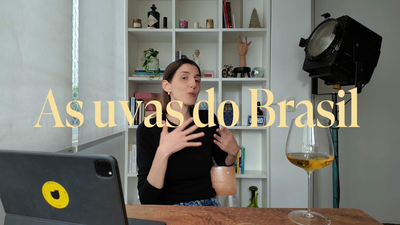 Vinhos do BRASIL: As UVAS FINAS de cada região