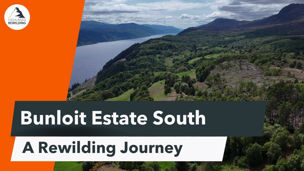 South Bunloit Rewilding Journey