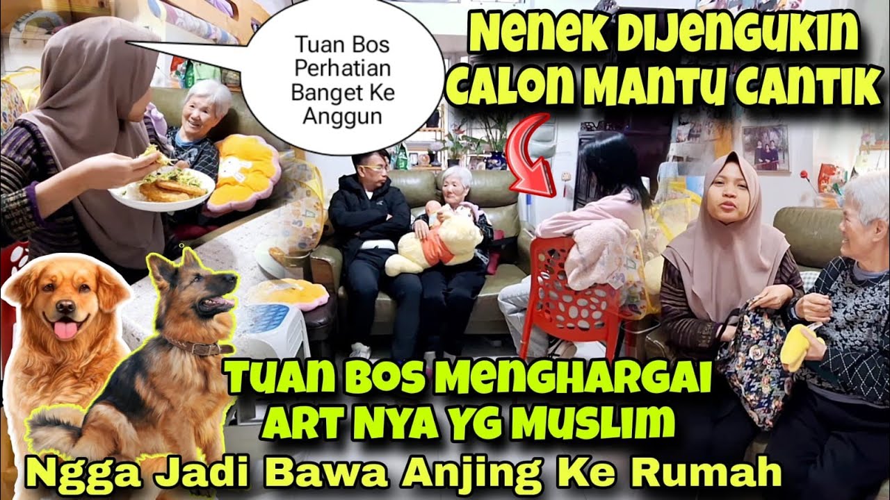 TUAN BOS PERHATIAN BANGET KE ART‼️NGGA JADI BAWA ANJING KE RUMAH KARENA ART NYA MUSLIM