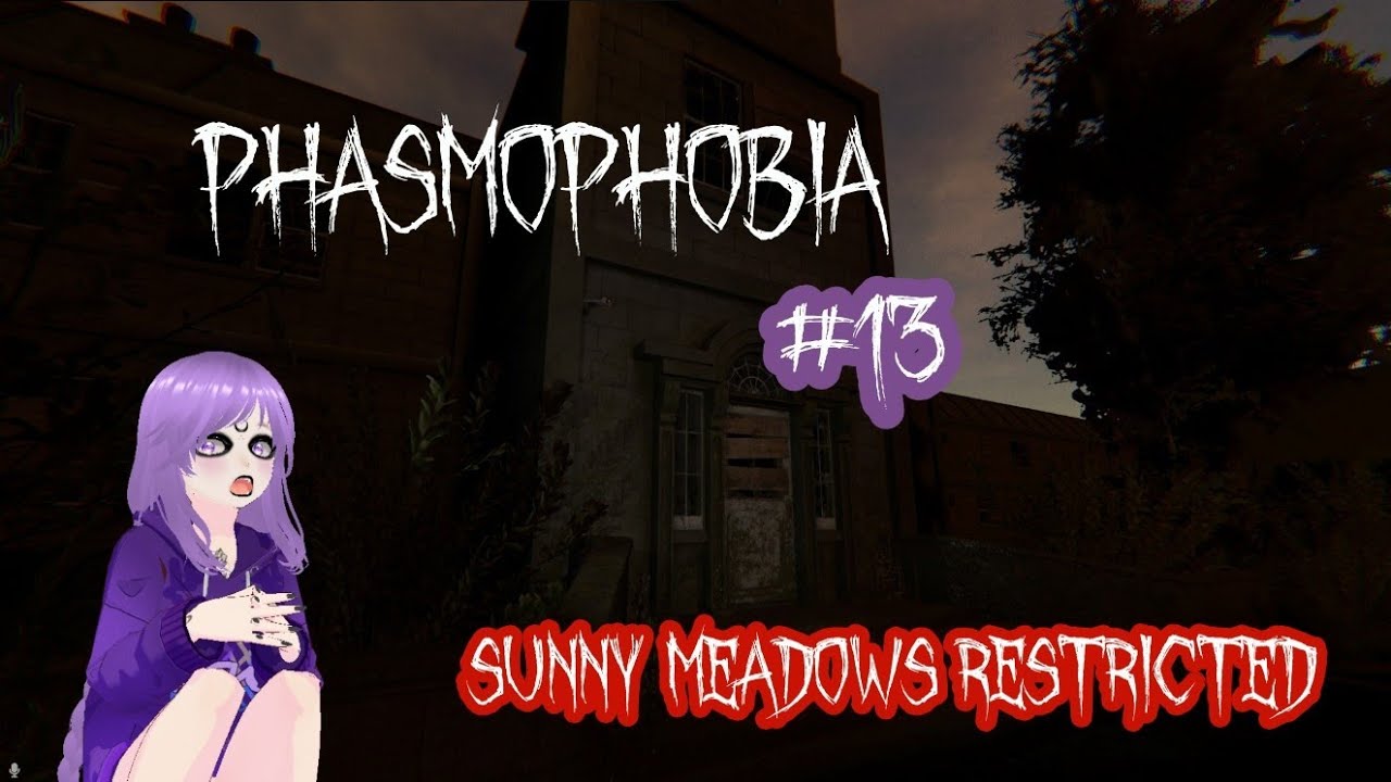 Phasmophobia #13 - Pourquoi j'ai fait ça? - FR Vtubing