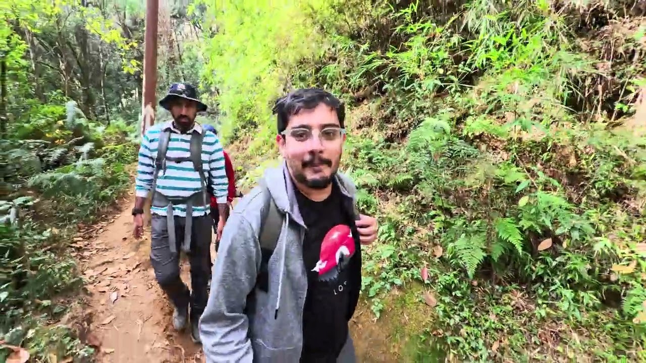 Singalila trek 