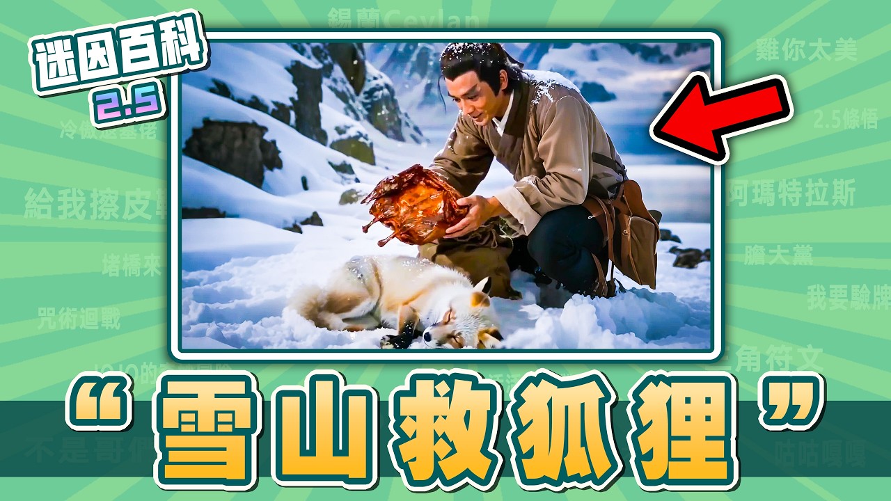 最反套路的一集⚡️⚡️⚡️！“雪山救狐狸”是什麽迷因？【迷因百科】#雪山救狐狸 #狐狸報恩 #醬板鴨 #蔡徐坤 #雞你太美 #只因 #小黑子 #抽象 #神人 #meme #迷因 #梗