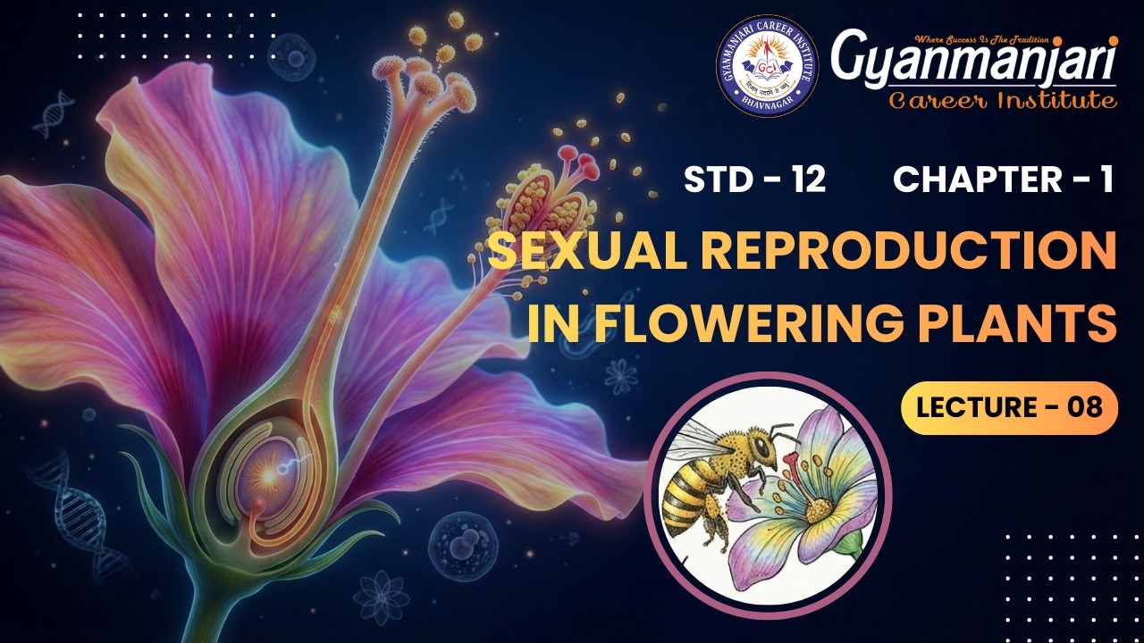Biology | STD 12th | Ch 1 | Sexual Reproduction in Flowering Plants | Lec 8 | ENG | GCI | 17.02.2026