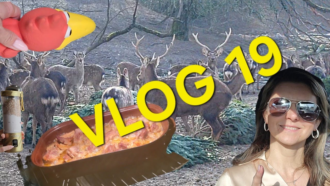 VLOG 19 | Rocky ve sprše 🐶, nákupy, organizace lednice & -30 % slevový kód