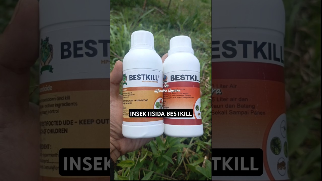 insektisida bestkill pembasmi hama serangga dan hama ulat #insektisida #bestkill
