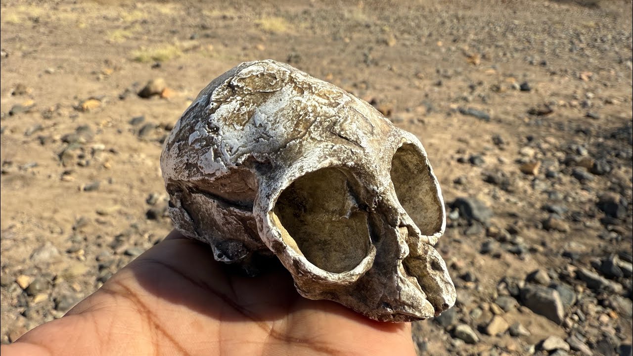 Lake Turkana Safari (Journey to the Jade Sea) - Napudet Archaeological Site and Turkwel