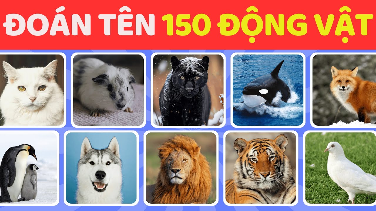 Thử Thách Đoán Tên 150 Loài Động Vật Trong 3 Giây | Đố Bạn Trả Lời Đúng Hết | BuBo Quiz  🐰 🐧🐯