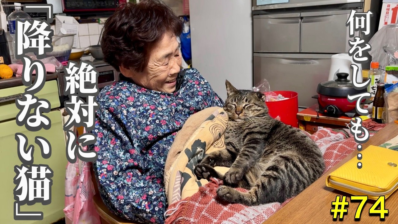 【キヨと祖母】ばあちゃんの膝から絶対に降りない猫、その理由が・・・