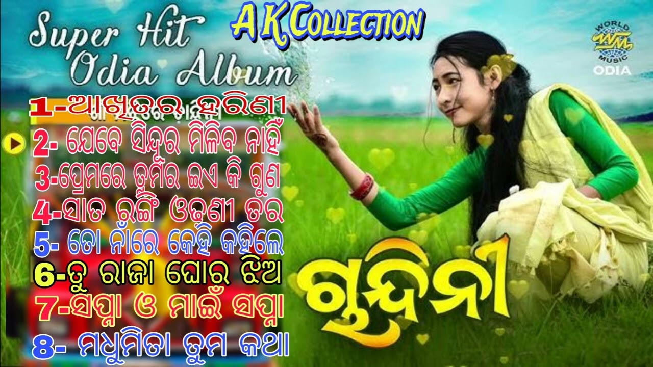 Odia Album Song🎵 !ରୋମାଣ୍ଟିକ ଗୀତ🎶!Odia Hit Song!♥️Love Song!ODM Ashok ?