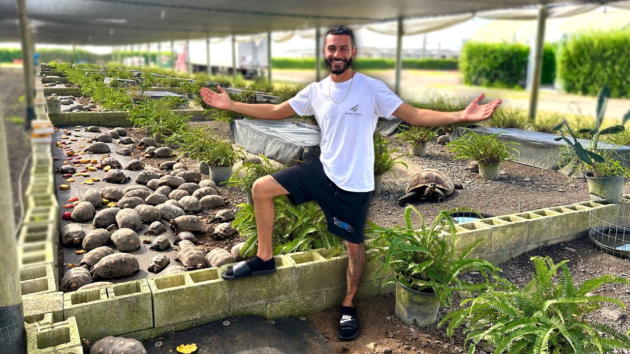 I VISITED The LARGEST TORTOISE FARM In The United States! *INSANE*