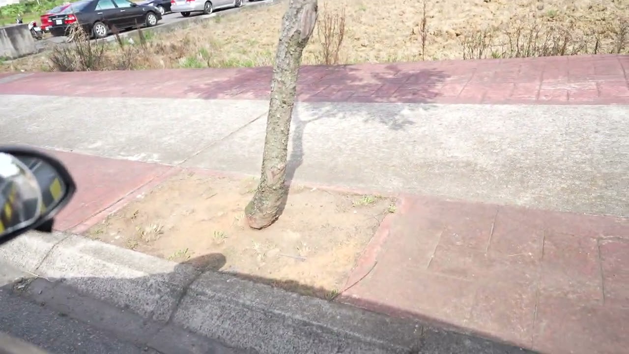 2023/10/12 中原駕訓班 路考教練示範