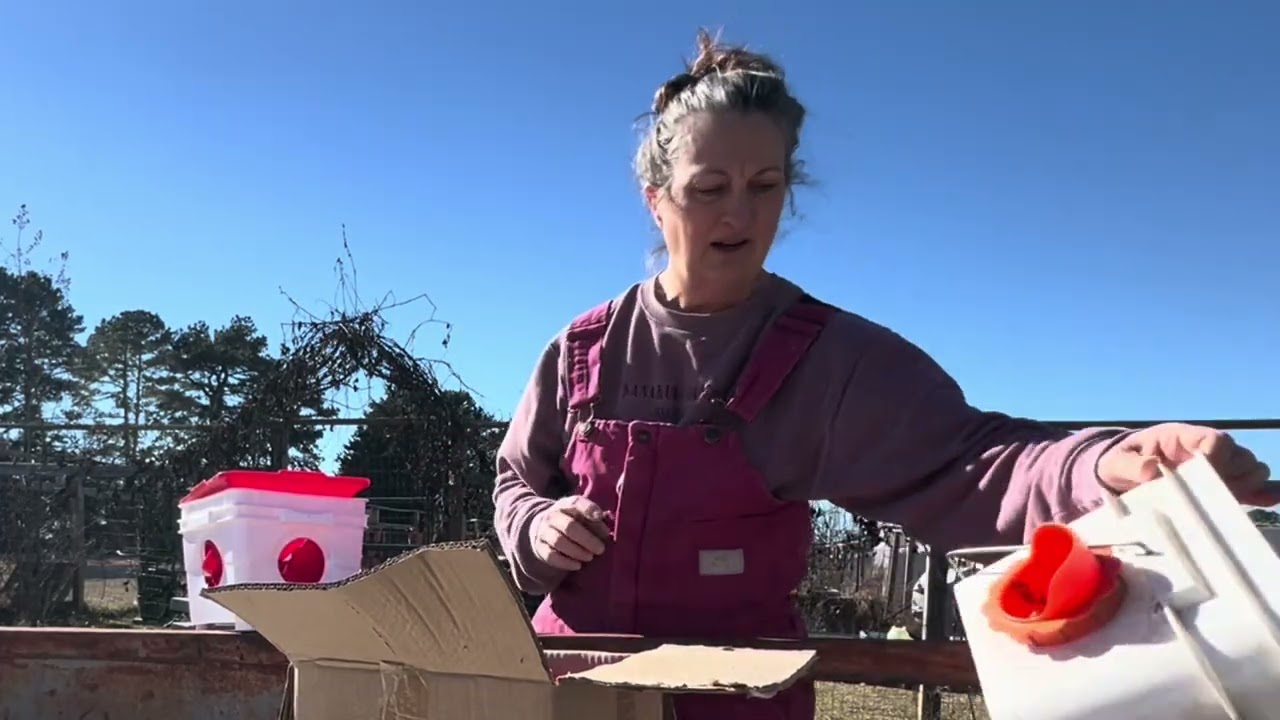 Farm chores vlog // @RockinGFarmandGarden 