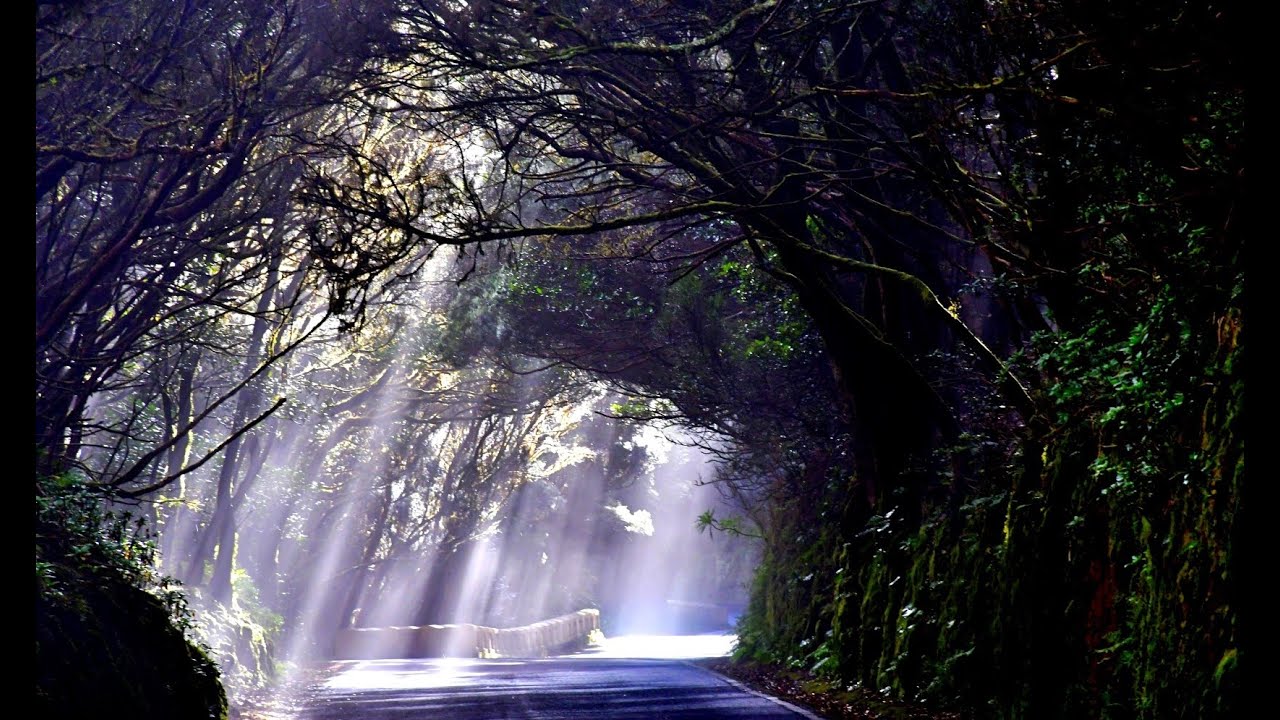 Entre Nubes y Bosques_Descubriendo Anaga