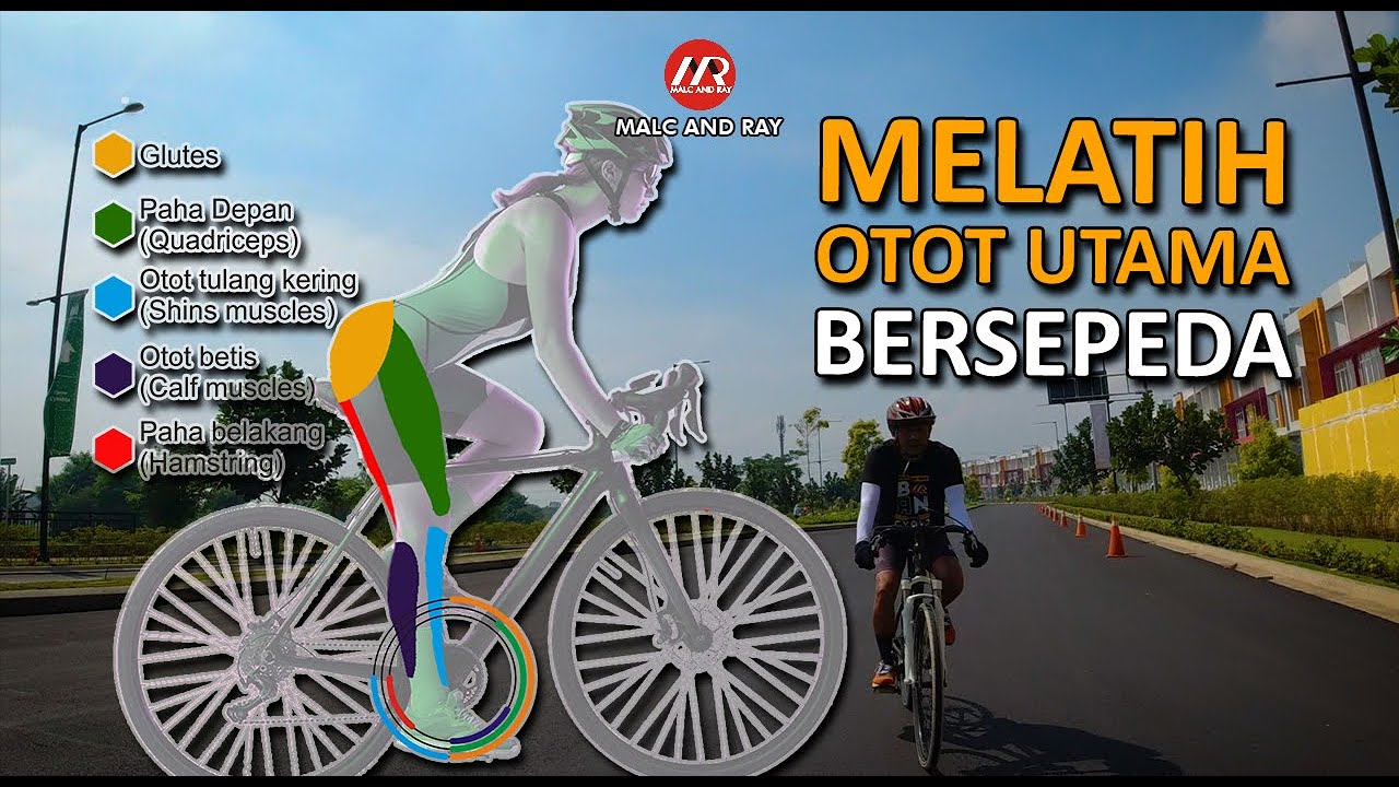 Cara Melatih Otot Utama yang Digunakan Saat Bersepeda (553)
