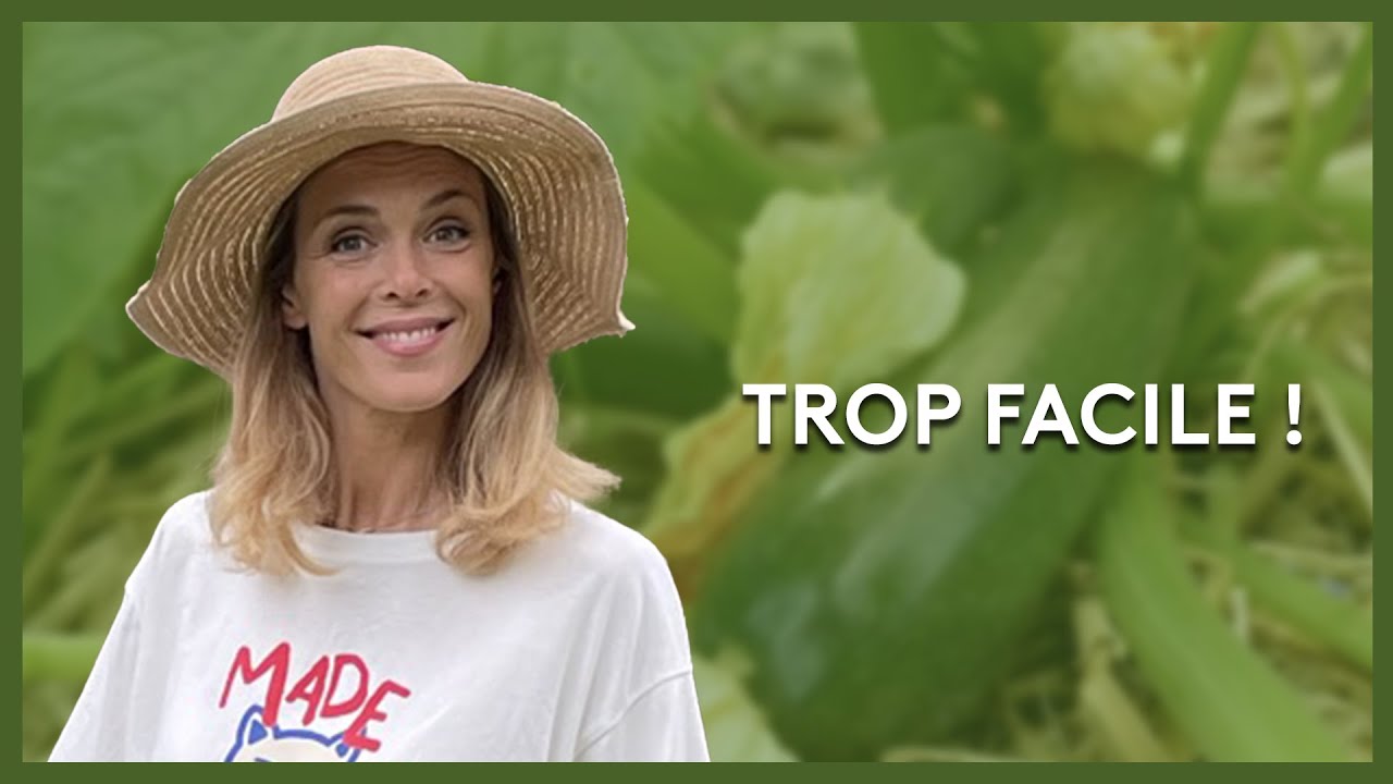 Comment faire pousser des courgettes ? - Les potagers de Julie