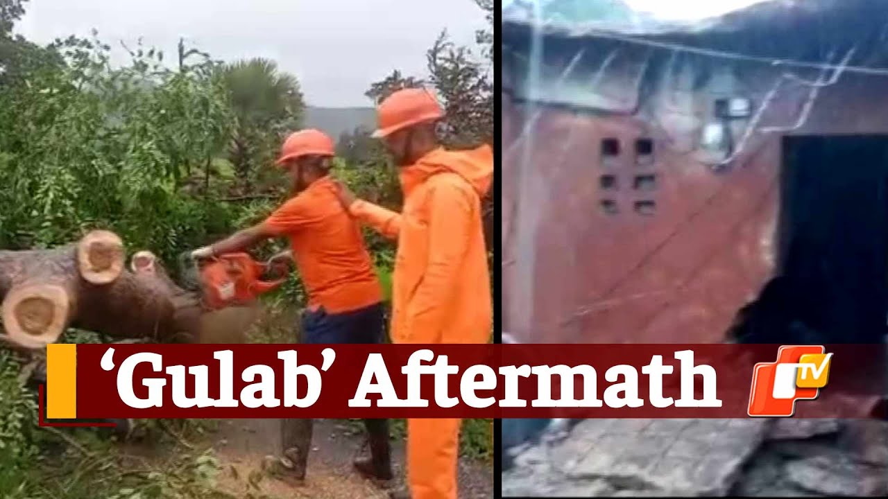Cyclone Gulab: Impact In Odisha | OTV News