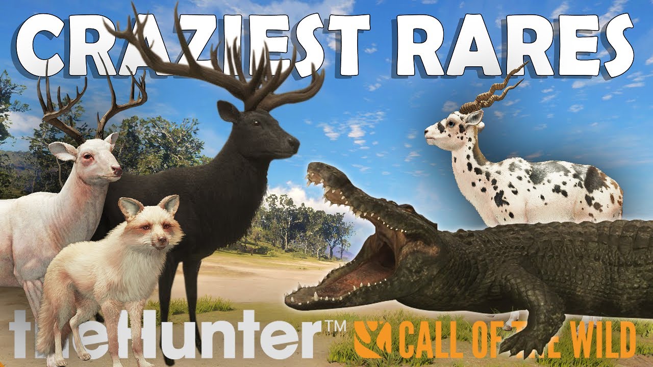 Top 10 CRAZIEST RARES in Call of the Wild 2025!!!