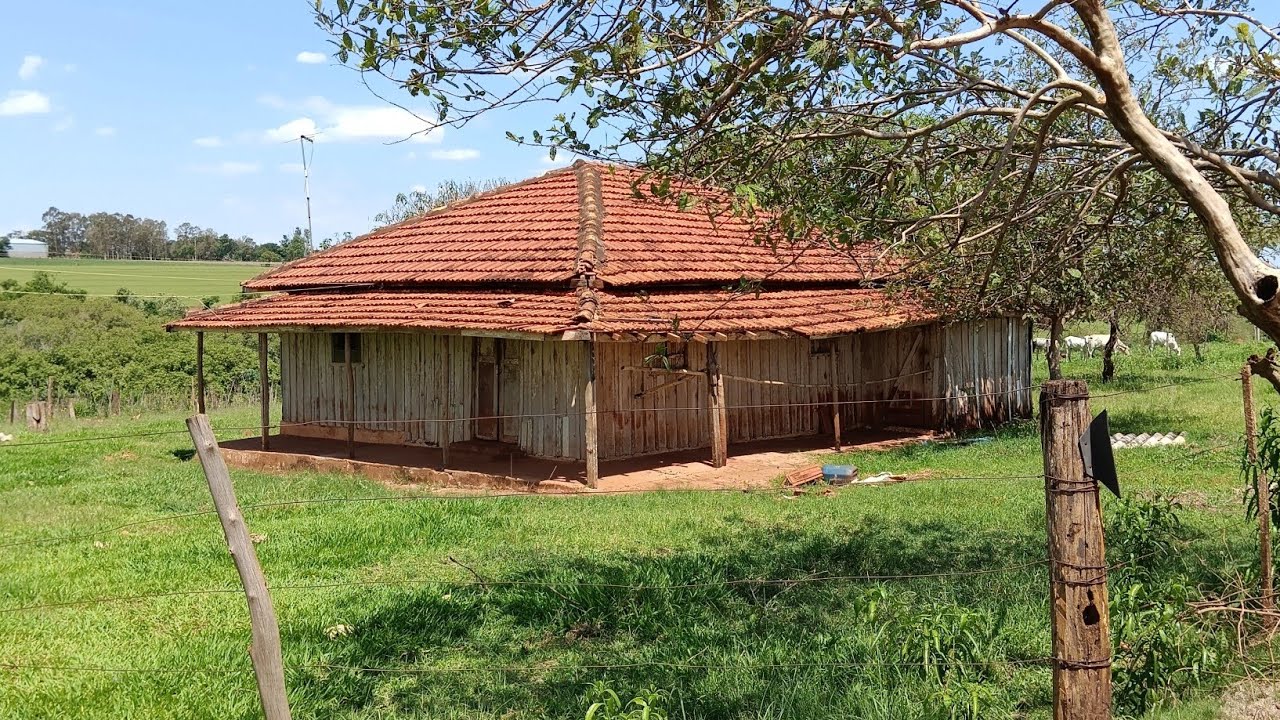 Marido N&atilde;o Deixou Colocar Na Cama, Mesmo Com A Esposa Insistindo, e no Fim Pagou Caro na Escolha