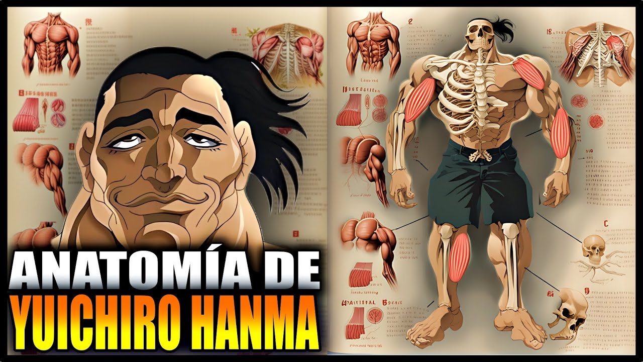 ANATOMIA YUICHIRO HANMA EL PADRE DE YUJIRO Y ABUELO DE BAKI