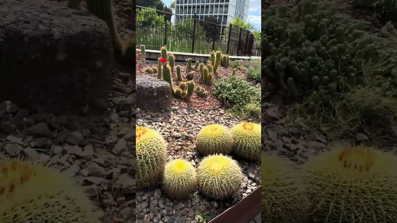 The Royal Botanic Gardens Melbourne 