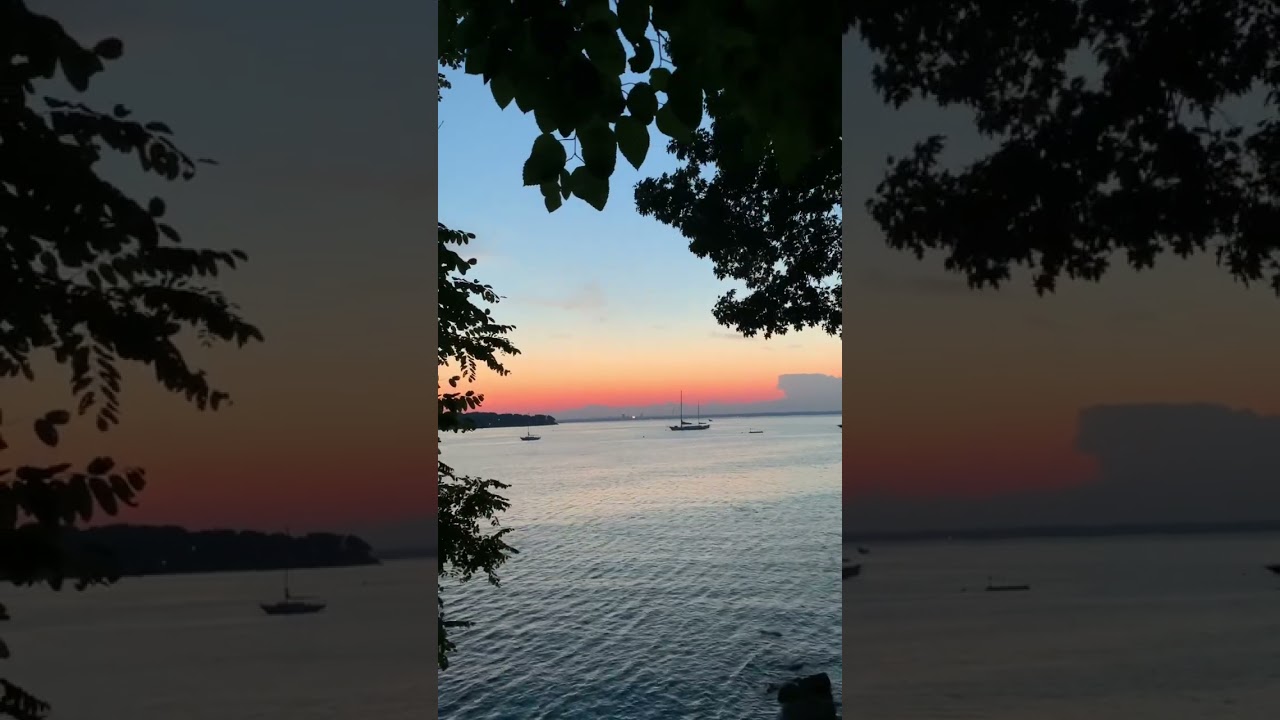 Beautiful Sunset over the Water #shorts #sunset #sunsets #water #scenery