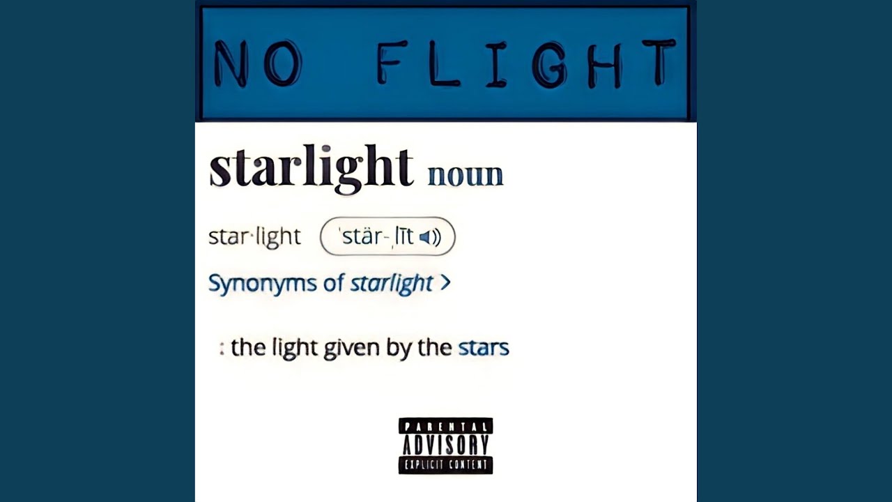 No Flight