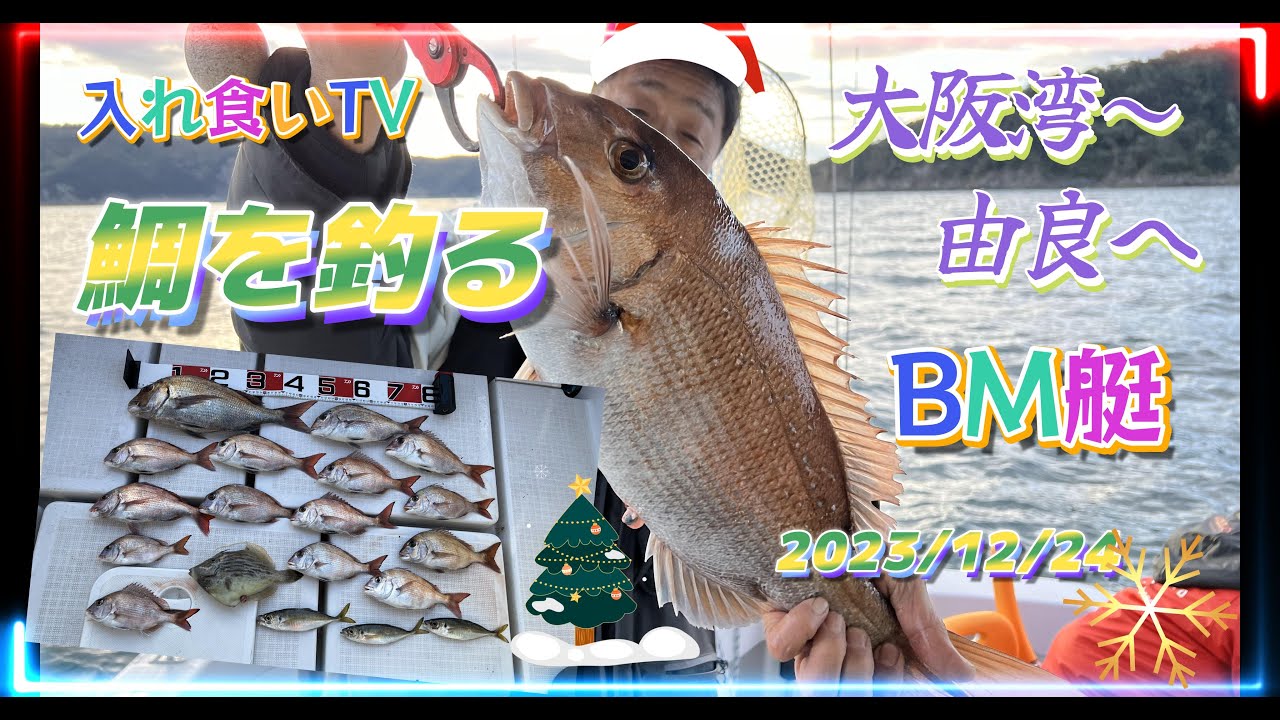 【入れ食いTV】BM艇　大阪湾から由良へ鯛狙いの一日、高仕掛けで鯛を連で釣りまくる船長、技あり～ 