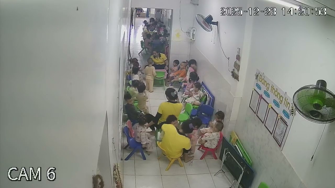 Những hình ảnh nghịch ngợm ,dễ thương ,yêu đời ,hồn nhiên của hai bình rượu mơ