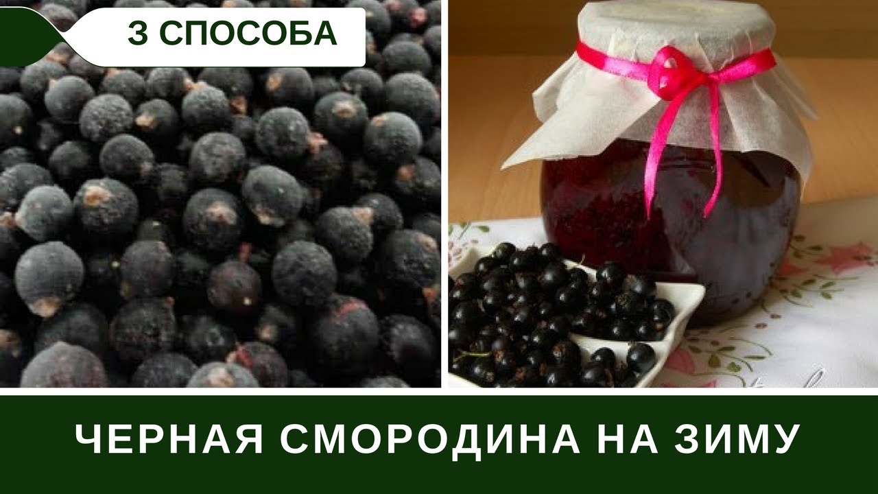 Черная Смородина и Малина На Зиму: заморозка, перетертая с сахаром Три Способа Заготовки