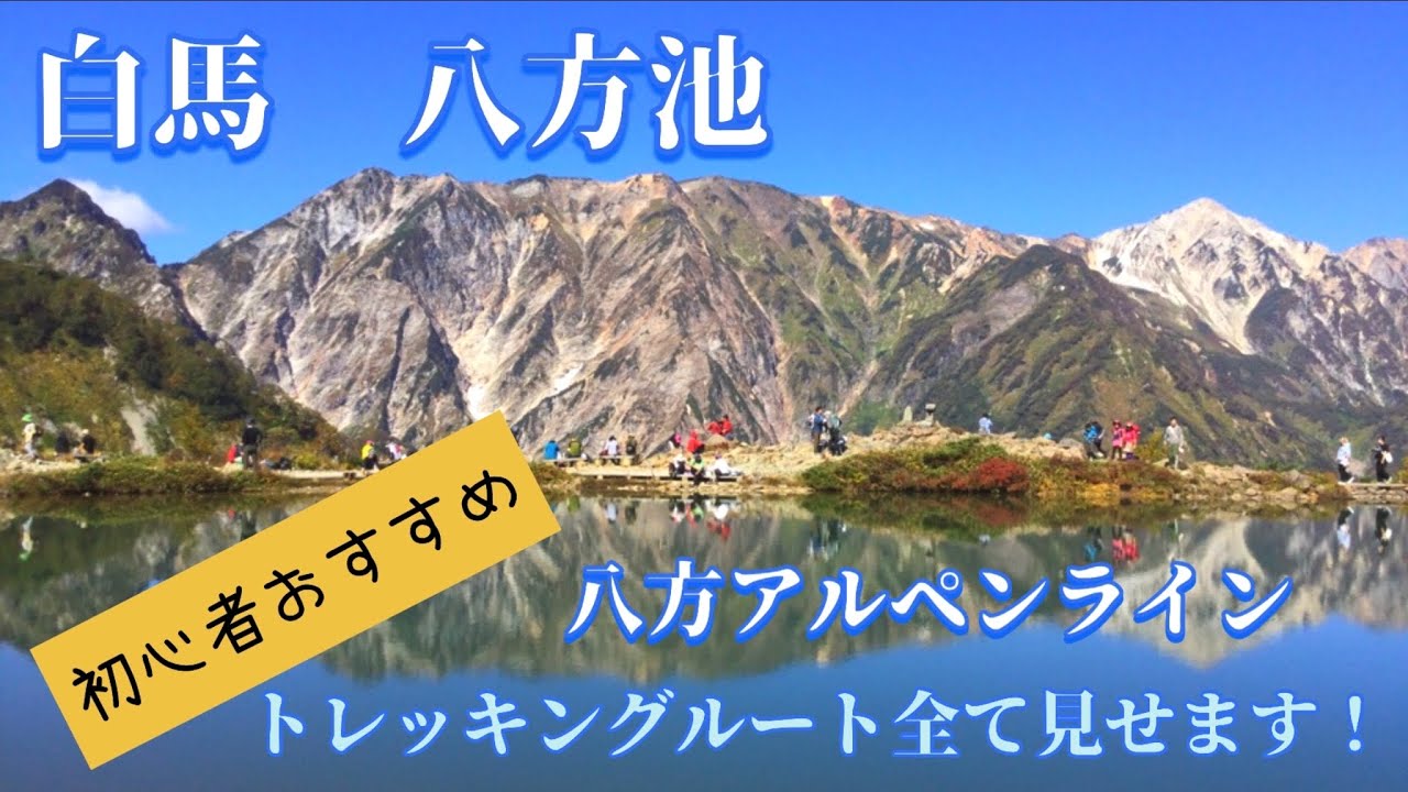 【一度は見たい絶景の長野・白馬❗️】八方池トレッキングルート全て見せます❗️初心者おすすめ　Hakuba,nagano,Japan