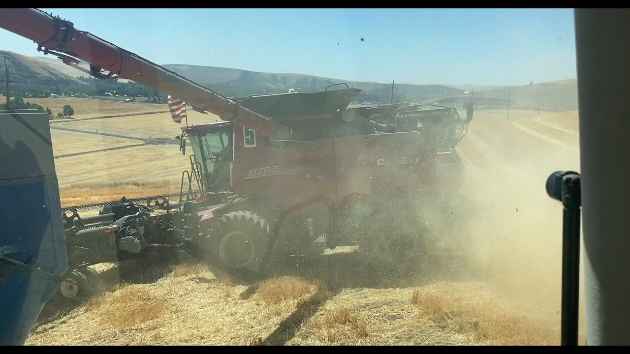 Combines unloading on the go, Stopped.